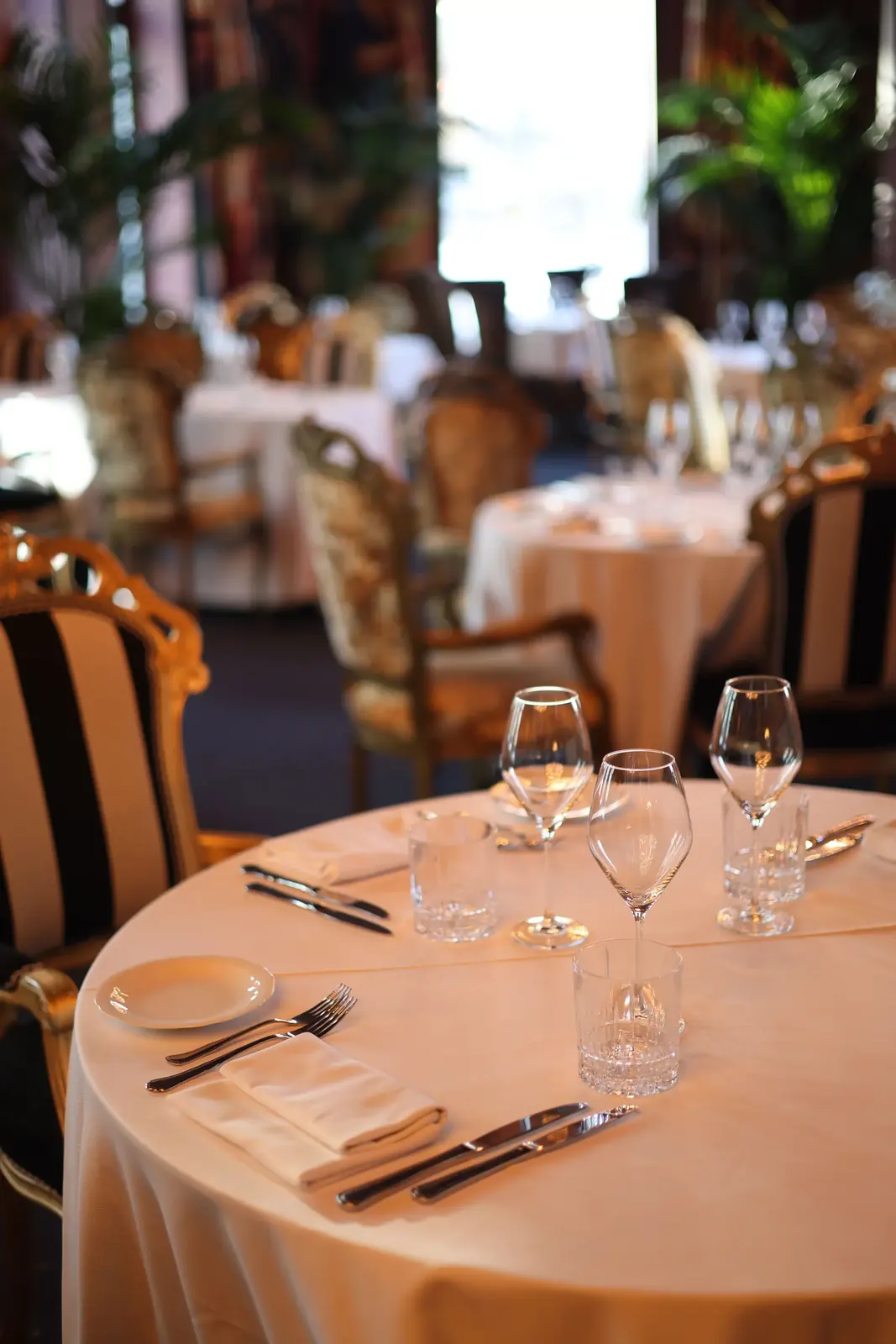 Elegant restaurant dining